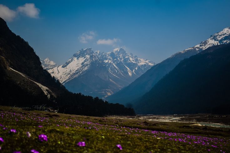 Sikkim